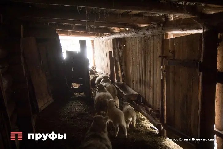 В глубинке Башкирии ввели закрытую зону из-за вспышки смертельной болезни