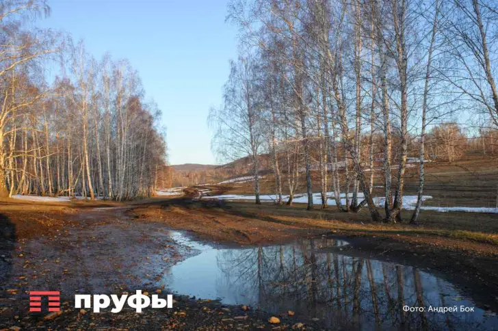 Предприятие в Башкирии обязали очистить землю от нефтяных луж