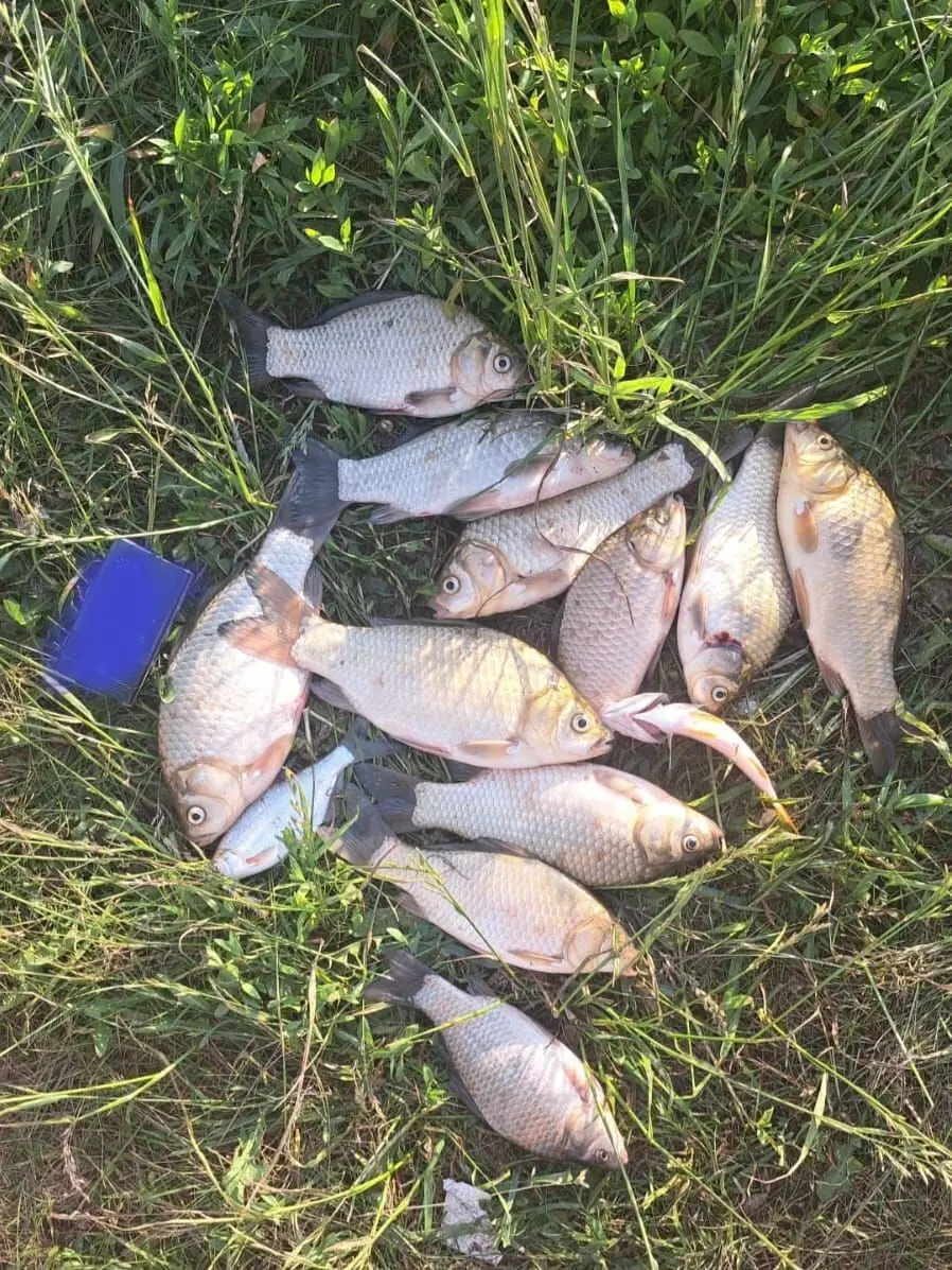 Рыбалка в Башкирии. Куда поехать порыбачить?