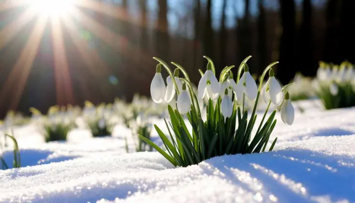 Башкирию ждёт резкое потепление: названы сроки прихода весны