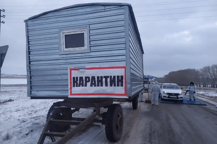 В Башкирии вновь объявили карантин по бешенству в одной из деревень