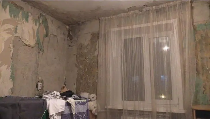 Никакого колхоза с тюлем: чем заменить надоевшие занавески в 2026 году 