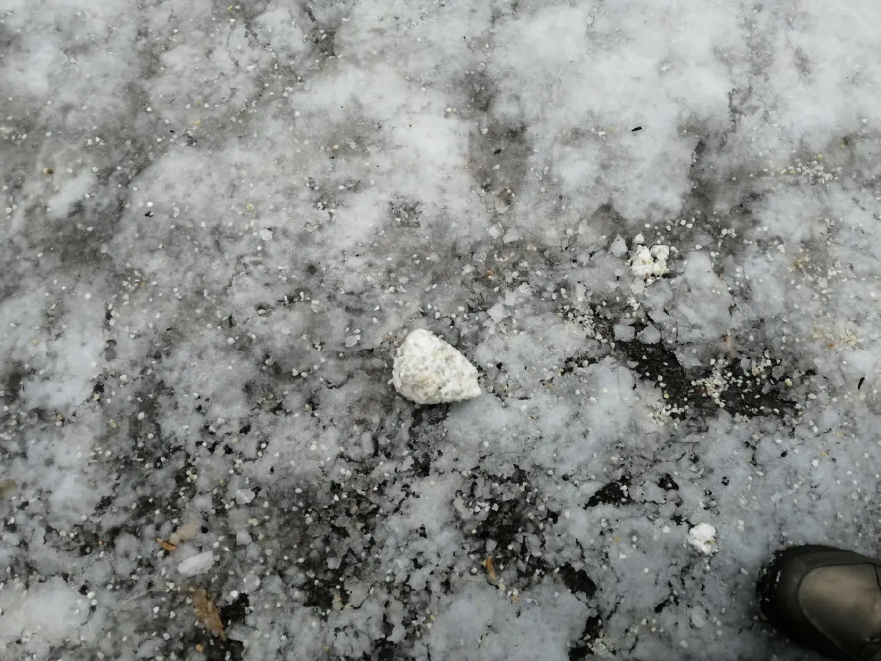 «У нас что, не хватает обычного песка?»: территорию Непейцевского дендропарка в Уфе засыпали реагентами