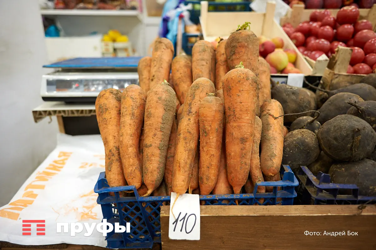 Моркови будут тонны: обязательная подкормка, чтобы корнеплоды выросли крупными, сладкими и сочными