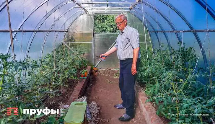 До конца мая некоторые теплицы придется убрать: новые требования для владельцев участков