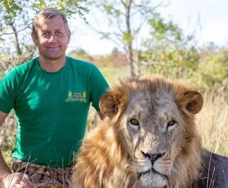 Повреждена голова, шея и легкое: на директора парка «Тайган» Зубкова напали львы