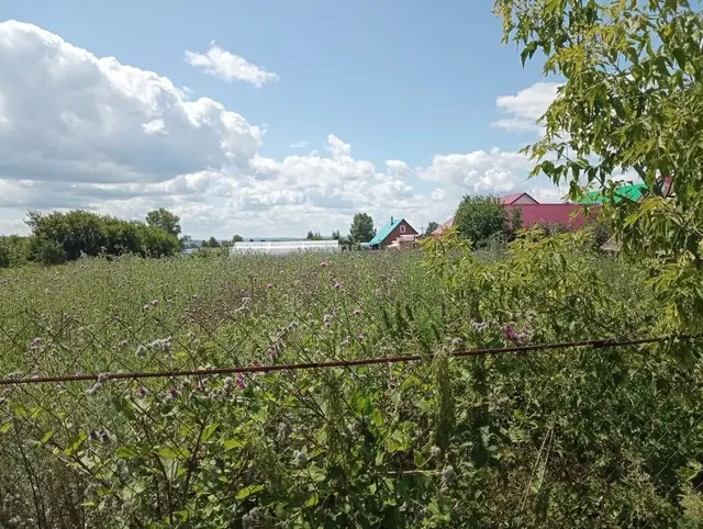 Нашествие травы в деревнях: почему в дореволюционной России и СССР такого не было