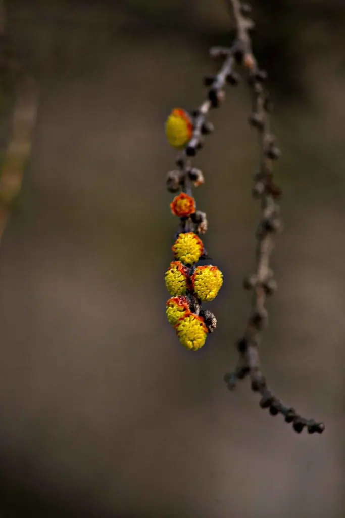 Фото Зиннура Бускунова