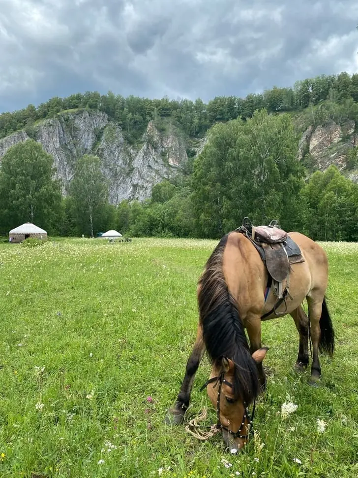 природа.jpg