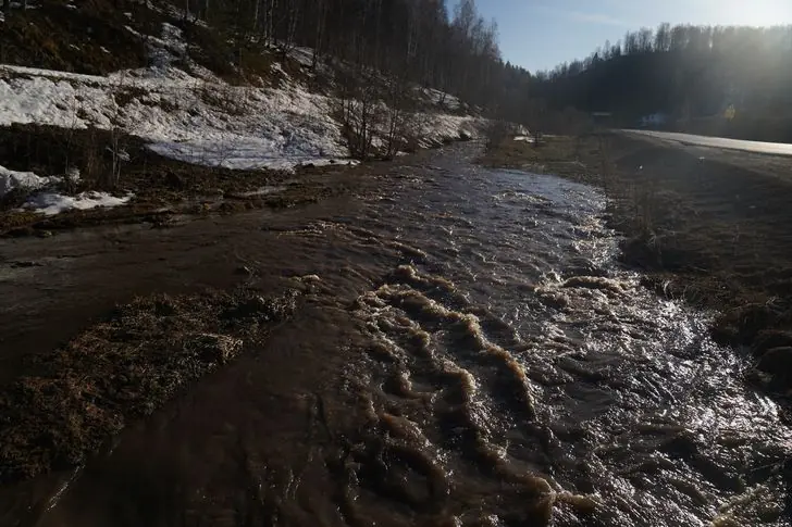 DSC01663 — копия.JPG