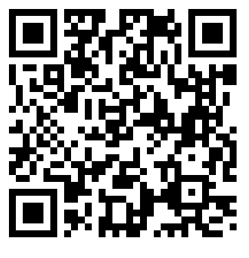 QR Лев Муртазин