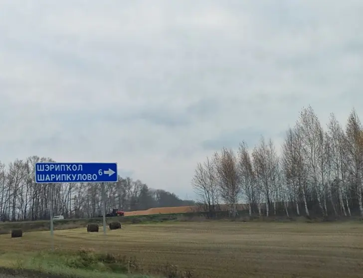 photo_2025-10-19_20-33-07 (1).jpg