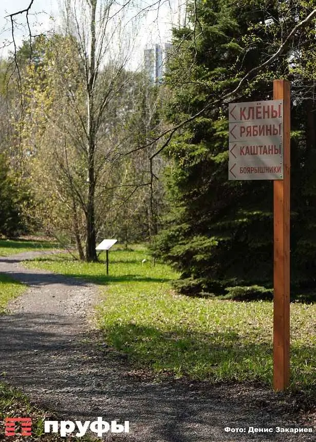 DSC07896 (1)_11_11zon.jpg