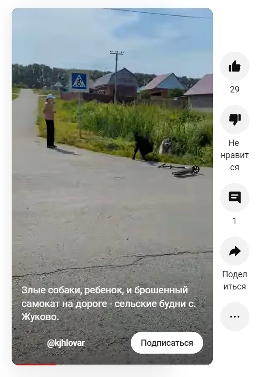 мор.jpg