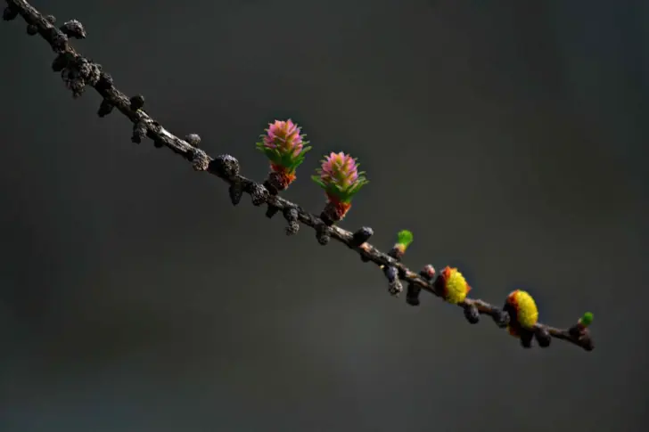 Фото Зиннура Бускунова