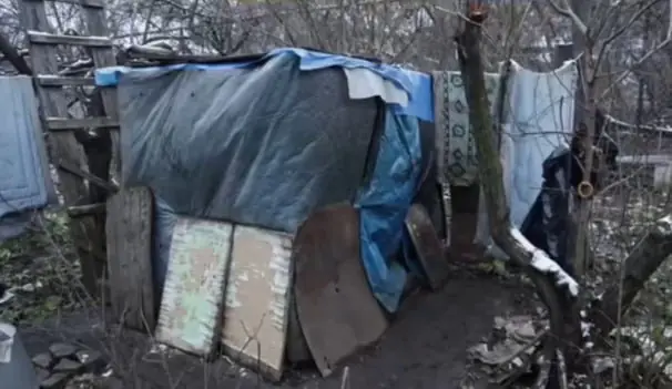 5339199735904014036 (1).jpg