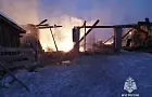 В Башкирии 14 животных погибли из-за пожара в хлеву
