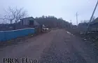 Ни деревца, ни травинки: почему в старину в деревнях вообще не было зелени