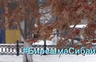 В Башкирии запустили интернет-акцию #ДержисьСибай
