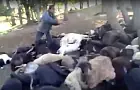 В сети появилось видео ЧП с гибелью овец в результате удара молнии в Башкирии