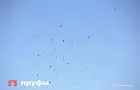 В соседних Татарстане, Удмуртии и Пермском крае ввели Ракетную опасность — МЧС