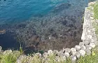 Мальдивы под Уфой превратились в «муравейник» для богатых