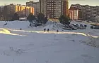 После очередного нападения бродячей собаки на ребенка чиновникам в Башкирии грозит уголовная статья