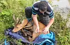 В Уфе спасателям пришлось плыть за раненой косулей – от страха она переплыла на другой берег