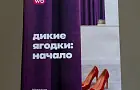 Татьяна Ким выпустила первую книгу о WB