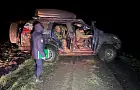 Под Уфой браконьеры убили лося
