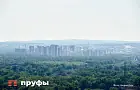 Администрация Уфы закупает липы по 65 тысяч рублей за штуку