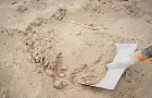 Микроорганизмы из Японского моря помогут очистить песок Анапы от нефтяных загрязнений