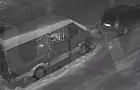 В одном из дворов Уфы хищница охотилась на котов – видео