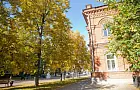 Осенняя обрезка роз: дачники назвали верный способ 