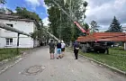 В мэрии Уфы назвали причины вырубки деревьев