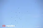 В Башкирии провели проверку качества воздуха в районе, который атаковали БПЛА