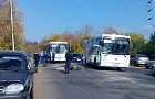 Около Уфы автобус сбил лося