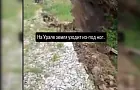 После ливней в Свердловской области грунт начал съезжать вместе с деревьями