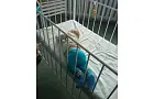 В Уфе на лестничной площадке обнаружили семимесячную малышку рядом с пьяной матерью