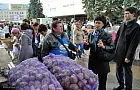 В Уфе на ярмарках продадут овощи по низкой цене