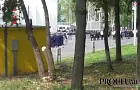 Семиклассница напала на учительницу перед праздничной линейкой: пострадали 9 человек
