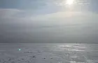 «Детей спас снегоход»: как на льду Павловского водохранилища не дали замёрзнуть целой семье