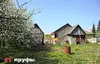 Кроты портят грядки и газон? Какие способы отпугивания советуют дачники