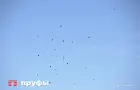 Введен режим опасности украинских дронов в Башкирии