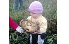 В Башкирии выросла картошка весом более полутора килограммов