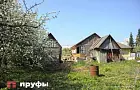 3 дерева, которые категорически нельзя сажать рядом с забором: причинят вред и вам, и соседям
