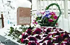 В Башкирии городскую мэрию уличили в монополизации похоронного рынка