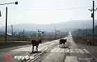 Без синоптиков: как русские крестьяне определяли погоду на год вперёд