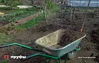 Не срывайте сразу: 8 овощей, которые становятся вкуснее, если не торопиться с уборкой