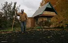 Зачем дома держать мешок сушеной крапивы: забытый многими лайфхак из СССР 